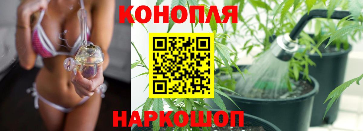 Бошки марихуана THC 21%  Вход с VPN  Канабис SATIVA & INDICA  Урус-Мартан 